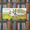 Книга П'ять вершин Ольга Сілакова (2605kro)